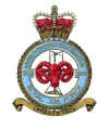 5003 Sqdn Crest.jpg (50925 bytes)